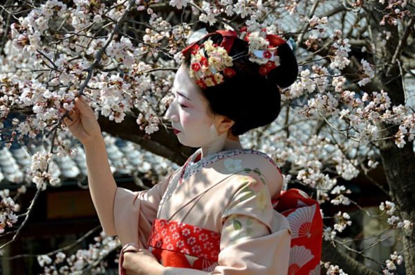 Visez la kimonouri și evantaie, gheișe, dinastii