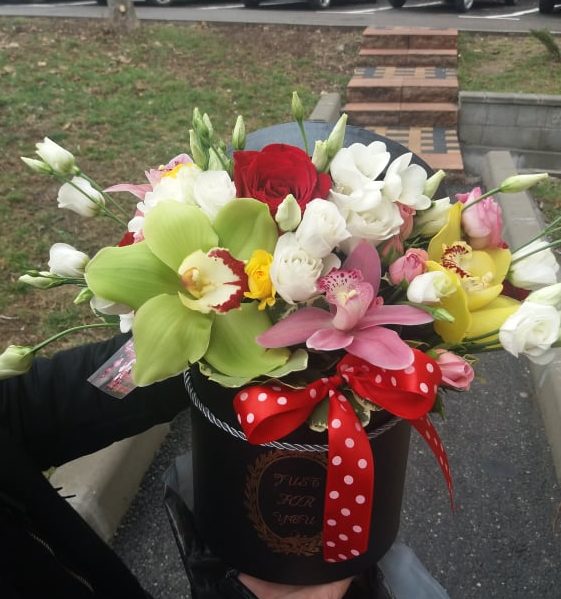 Pregătirea răsadurilor de primăvară