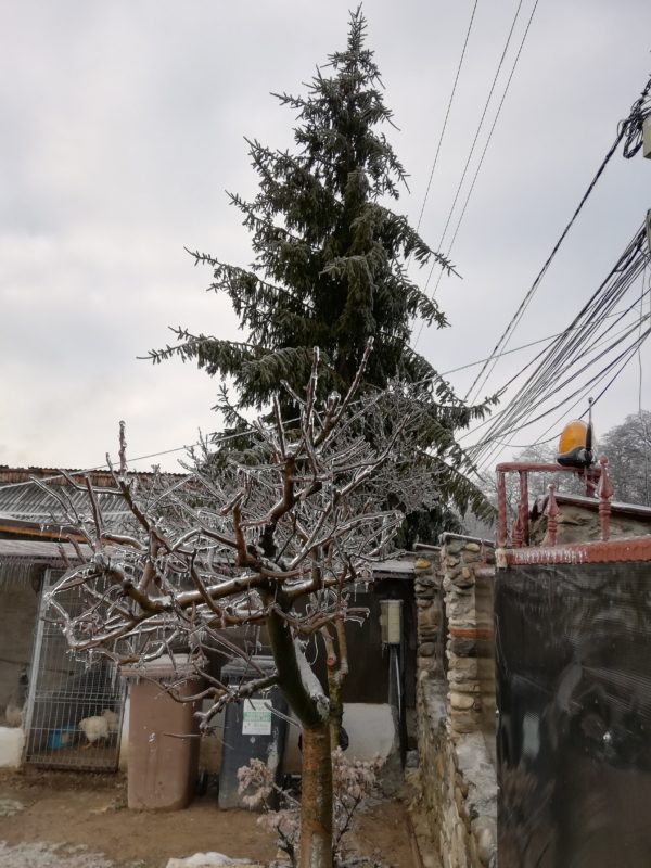Regatul de gheață la mine acasă.jpg Sursa: arhiva personală Regatul de gheață la mine acasă