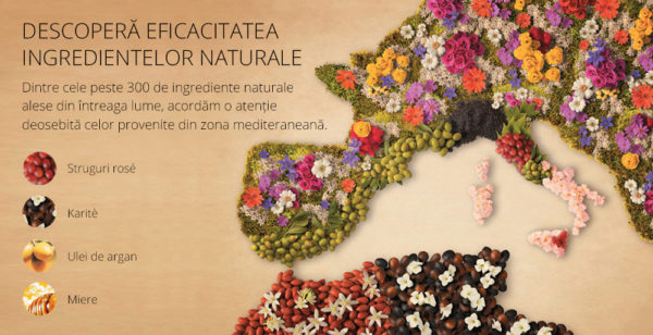 Decembre ... ”Și vino și tu mai aproape” 7 bottegaverde homepage banner5 Decembre ... ”Și vino și tu mai aproape”