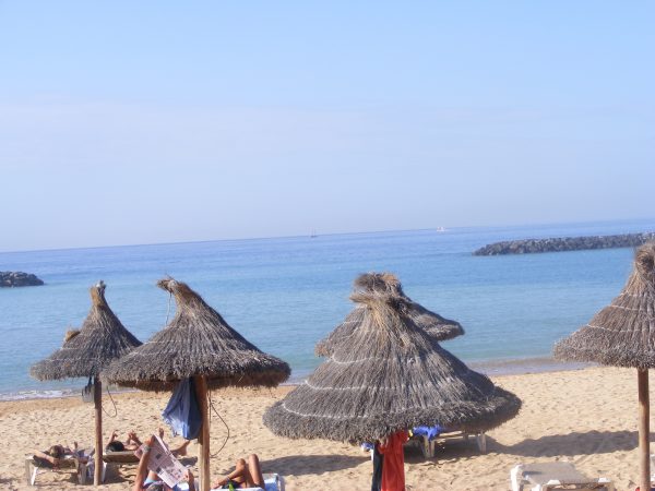 5, 6, 7...motive pentru o vacanță. 10 Tenerife - foto arhiva personală
