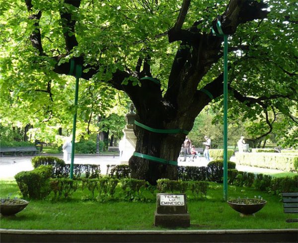 Unde ești, copilărie, cu Eminescu - al meu, cu tot? 3 P1000562 Unde ești, copilărie, cu Eminescu - al meu, cu tot?
