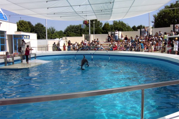 Am luat bilete la mare, vreți să mergeți și voi?.jpg sursa www.litoralulromanesc.ro/obiective_turistice_litoral. Am luat bilete la mare, vreți să mergeți și voi?.jpg sursa www.litoralulromanesc.ro/obiective_turistice_litoral.