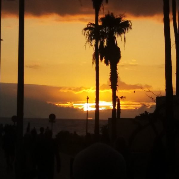 IMG 20180518 135615 150 1 Satnaam - Ce ușor se duce timpul uneori