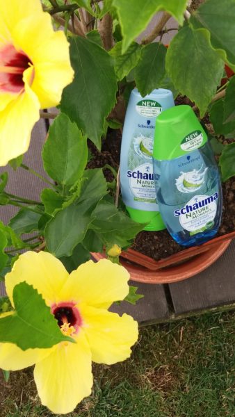 Schauma Nature Moments și Fa Island Vibes 20180618 171515 Schauma Nature Moments și Fa Island Vibes