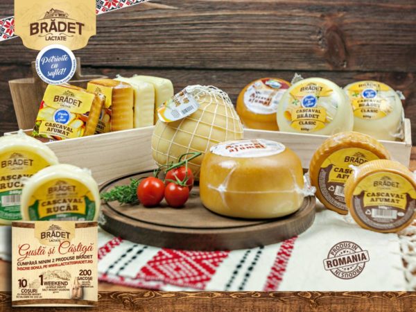 Fabrica de produse lactate 