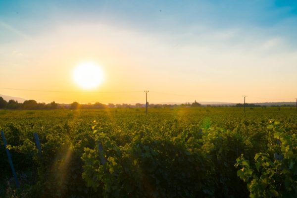 Viața mea cuprinsă în 50 de ani!