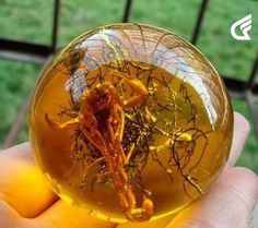Mi-am comandat o saltea Amber!.jpg Sursa: Pinterest Mi-am comandat o saltea Amber!