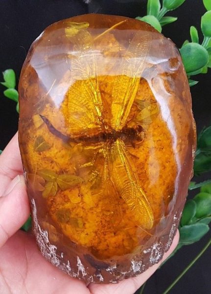 Mi-am comandat o saltea Amber!.jpg Sursa: Pinterest Mi-am comandat o saltea Amber!