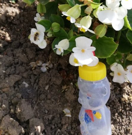 Remedii, tratamente, rețete naturiste.jpg Sursa: arhivă personală Remedii, tratamente, rețete naturiste