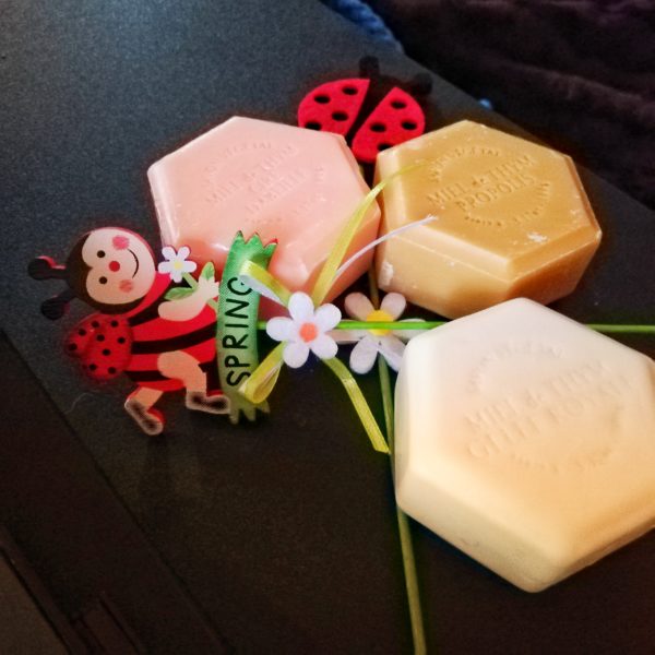 Natură - frumusețe, natural - sănătate Apidava Sursa:arhiva personală IMG 20190325 182231 01 Natură - frumusețe, natural - sănătate (Apidava)