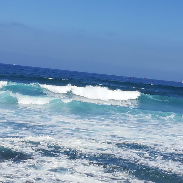 Cât cheltuim cu transportul pentru vacanța în Tenerife Sursa: arhiva personală IMG 20190514 111634 Cât cheltuim cu transportul pentru vacanța în Tenerife