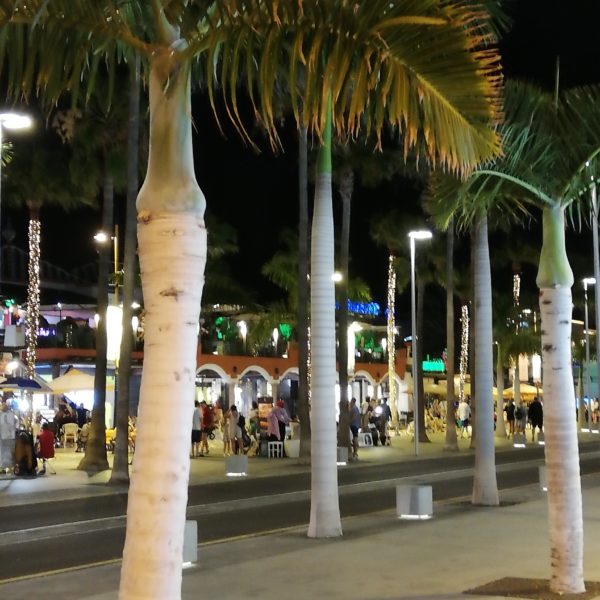 Tenerife - mit vs vacanța de lux Sursa: arhiva personală mit
