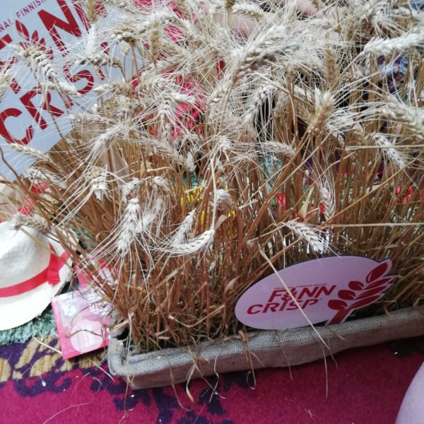 De la Instacamp ’19 la Visualfest ’20