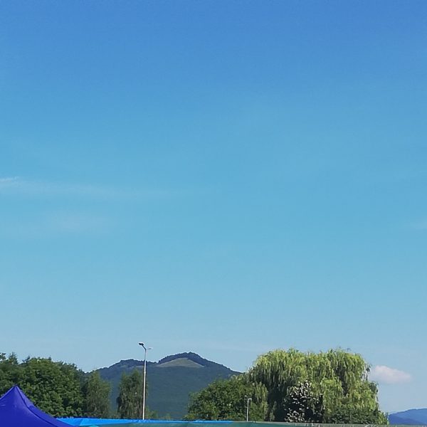 Week-end, delicatețuri (fără politică!) și prieteni Sursa: arhiva personală IMG 20190721 101048 Week-end, delicatețuri (fără politică!) și prieteni