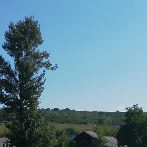 Week-end, delicatețuri (fără politică!) și prieteni Sursa: arhiva personală Week-end, delicatețuri (fără politică!) și prieteni