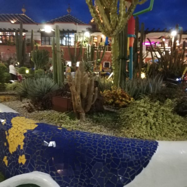 IMG 20190520 211519 Atracții și activități într-un sejur din Tenerife (2)