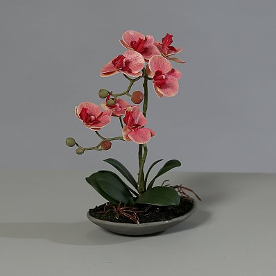 Povestea culorilor toamnei din casa mea (FAVI) Sursa: favi orhidee artificiala rozsomon in vas ceramic 30 8625 1 1547712996 Povestea culorilor toamnei din casa mea cu FAVI