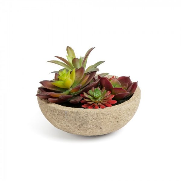 planta artificiala cu ghiveci din ciment 13 3 cm zelena flower la 73742 Povestea culorilor toamnei din casa mea cu FAVI