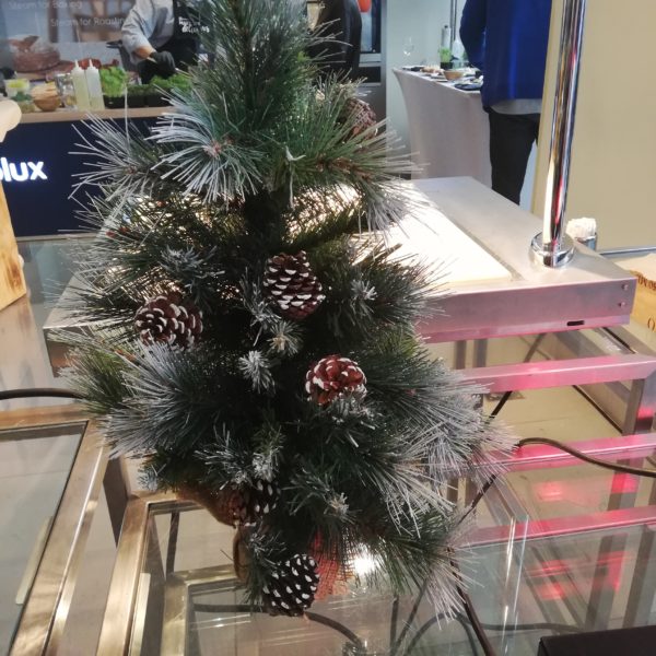 IMG 20191204 134552 Food Bloggers Conference Winter Edition 2019.