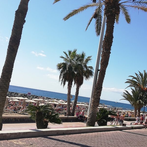 IMG 20191118 113918 Destinație de vacanță cu efect asupra sănătății: Tenerife