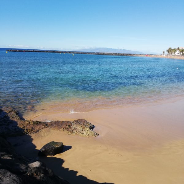 IMG 20191120 105546 1 Leapșa- la ce ai renunța? merge mai departe