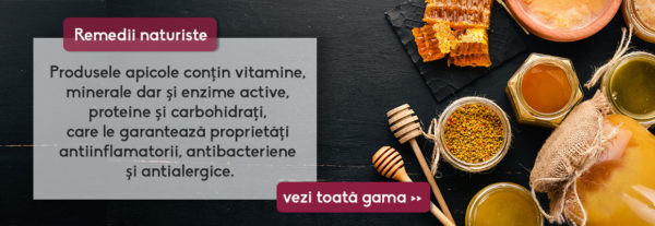 Plan alimentar personalizat și top 10 alimente folosite Sursa: driedfruits 1 1 Plan alimentar personalizat și top 10 alimente folosite