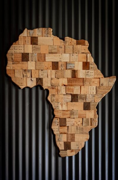 pexels photo 2660262 Ce învață elevii din manualul de clasa a 7 a despre Africa?