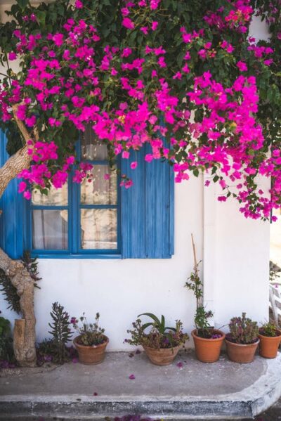 Un fragment din povestea toamnelor mele Sursa: pexels pexels photo 1732419 Un fragment din povestea toamnelor mele