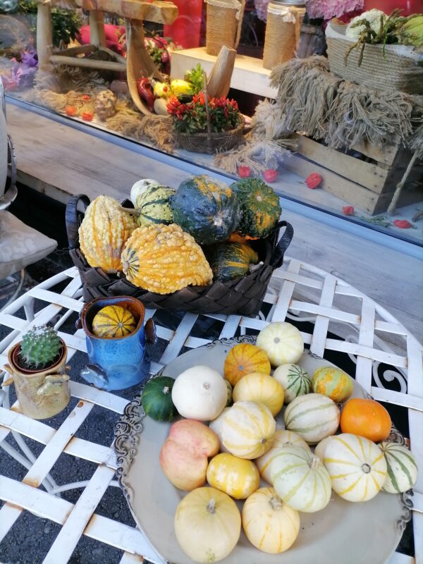 IMG 20200916 110419 Bucătăreala de toamnă și rețete povestite