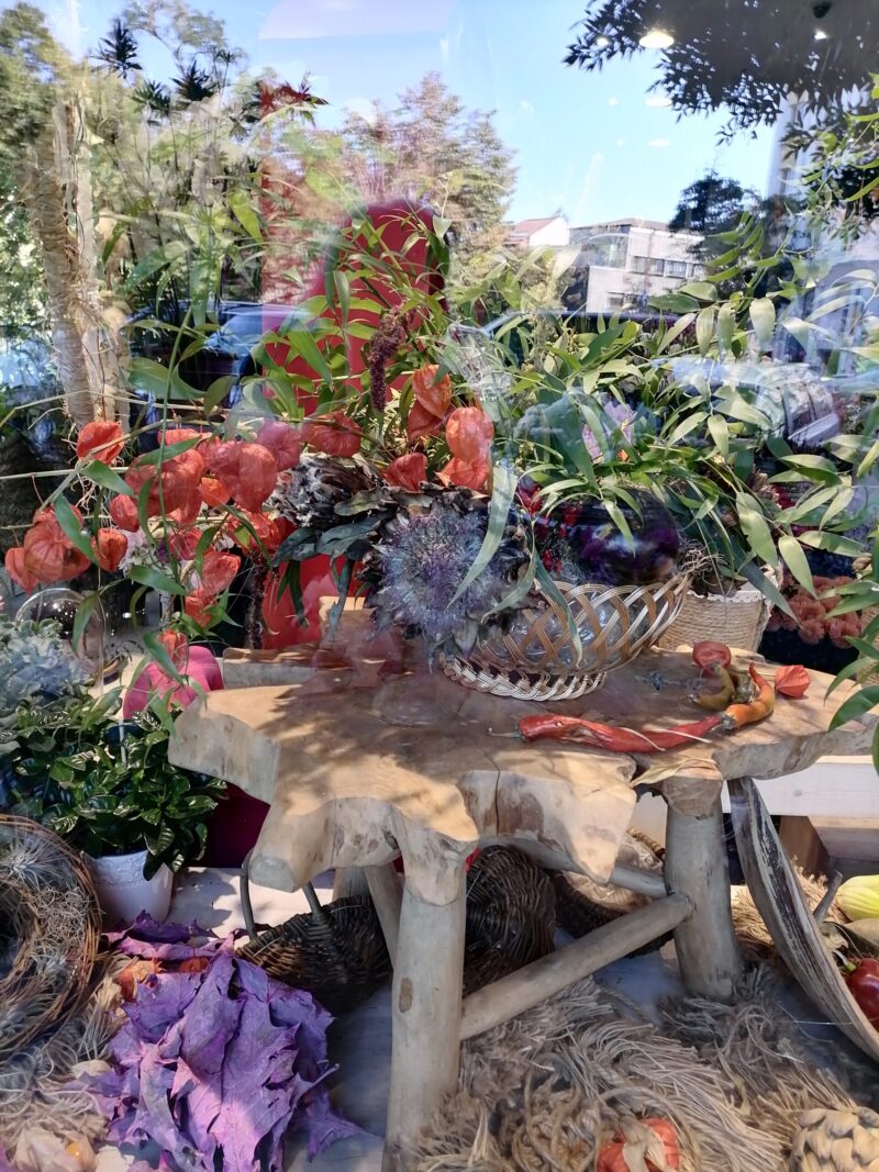 IMG 20200916 110435 scaled Toamna se numără (...) sau se dă startul?!?