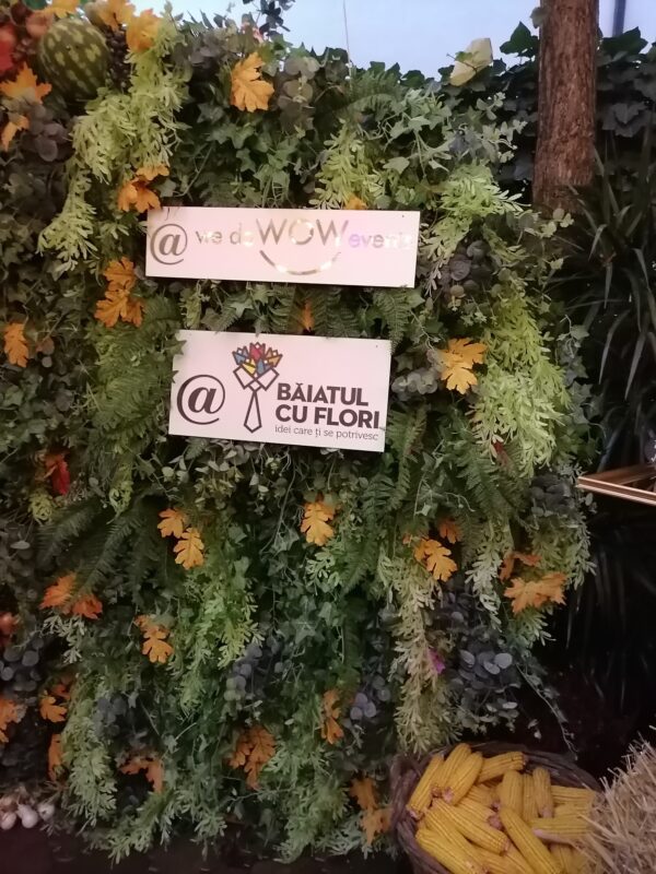 IMG 20201009 183727 Eveniment cu iz de poveste de toamnă