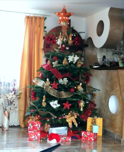 Rochia de Crăciun şi seducătoarea catifea Sursa: arhiva personala IMG 20191225 122303 Rochia de Crăciun şi seducătoarea catifea