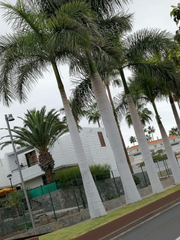 IMG 20201028 115948 1 Vacanţă reuşită chiar şi în pandemie?!?