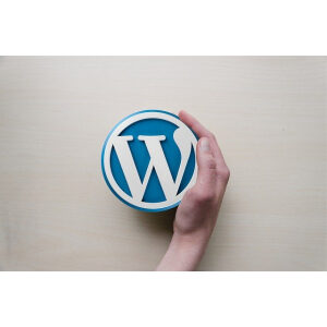 Diferența dintre WordPress.com și WordPress.org diferenta dintre wordpress com si wordpress org avantaje si dezavantaje Diferența dintre WordPress.com și WordPress.org