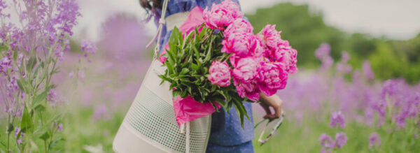 26850570 175415896550395 2230533727408366590 o 7 motive să comandăm pe florărie online