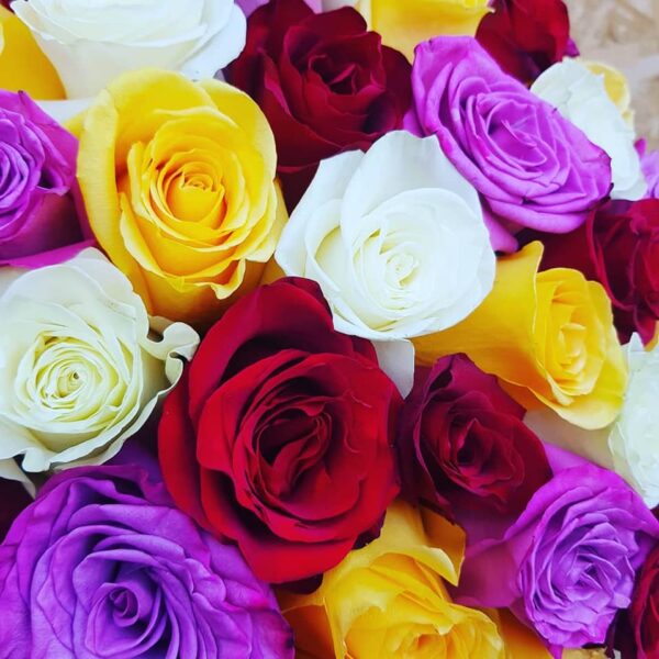 44269429 336510137107636 107111008278937600 n 7 motive să comandăm pe florărie online