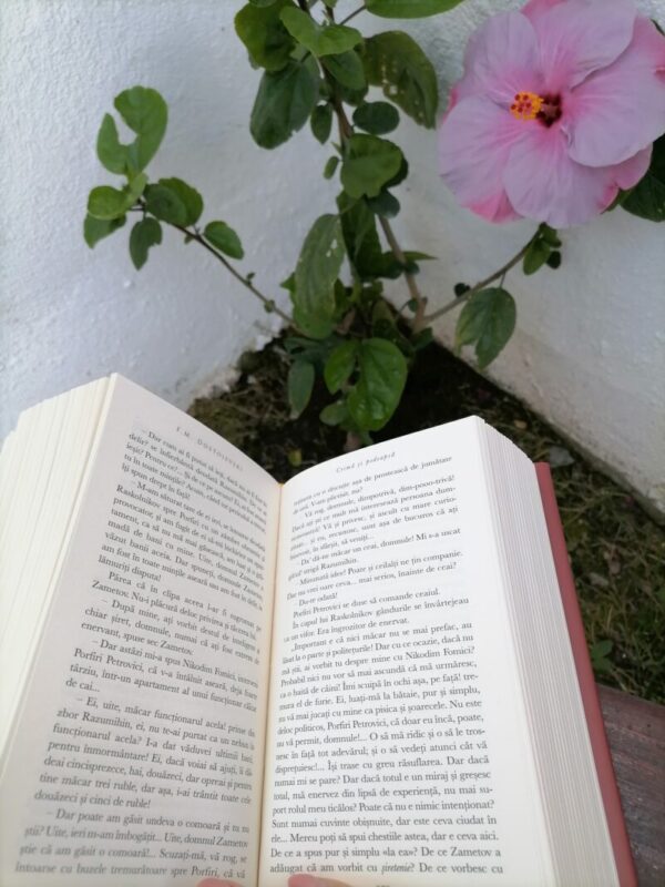 IMG 20210721 122554 Din Colecția Rao Clasic - Crimă și pedeapsă (Dostoievski)