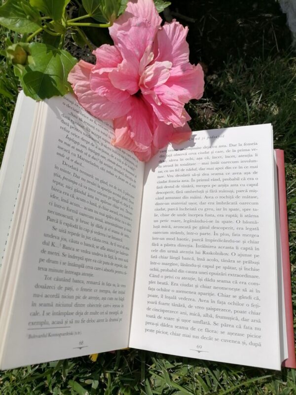 IMG 20210827 215227 Din Colecția Rao Clasic - Crimă și pedeapsă (Dostoievski)