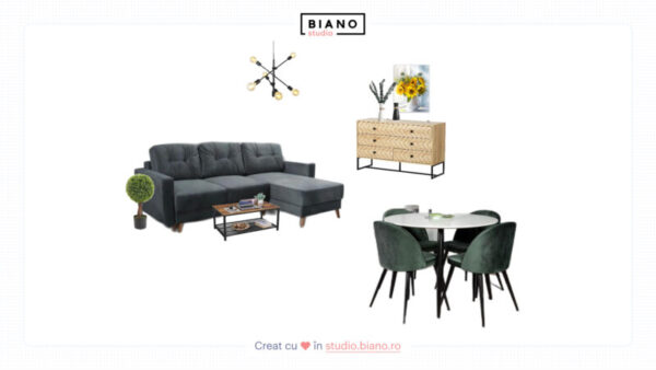 Livingul - proiect Biano 2