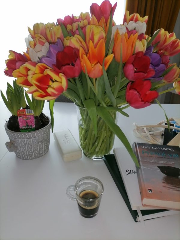 IMG 20220216 125920 Recomandare: Primul val- Ray Lambert