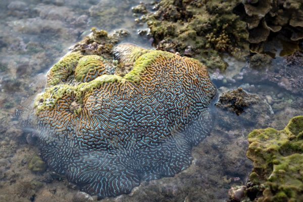 pexels photo 5116363 Hobby-urile artistice și sănătatea creierului