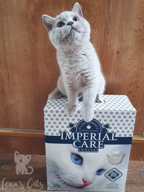 Bella și așternutul Imperial Care Sursa: Imperial Care Bella