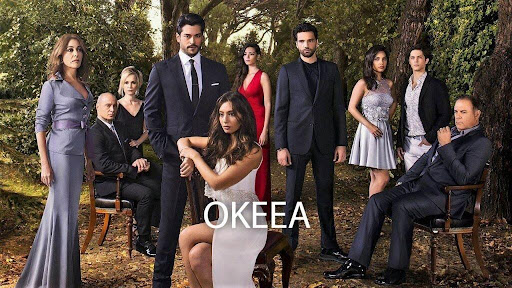 Top 13 Seriale Romantice Turcești Sursa: Netflix seriale