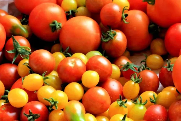 tomatoes tomato harvest healthy food 162830 Dieta mediteraneană - 13 alimente benefice