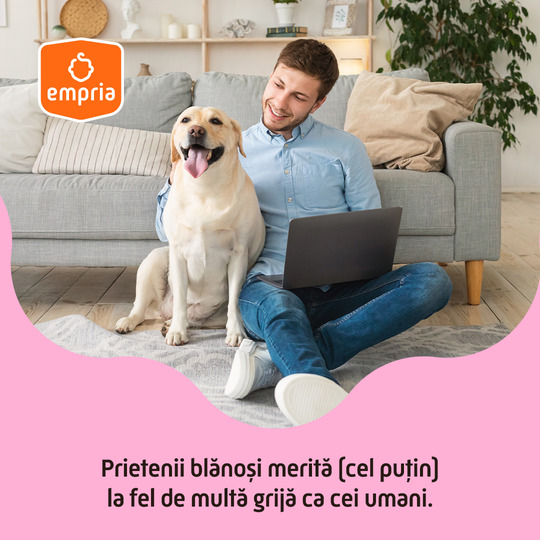 2 năzdrăvani, 1 cățel, 1 papagal & ce - ar fi fost dacă ...? Sursa: empria Empria2 2 năzdrăvani, 1 cățel, 1 papagal & ce - ar fi fost dacă ...?