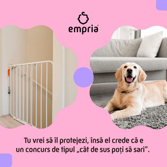 2 năzdrăvani, 1 cățel, 1 papagal & ce - ar fi fost dacă ...? Sursa: empria rsz 1empria 2 năzdrăvani, 1 cățel, 1 papagal & ce - ar fi fost dacă ...?