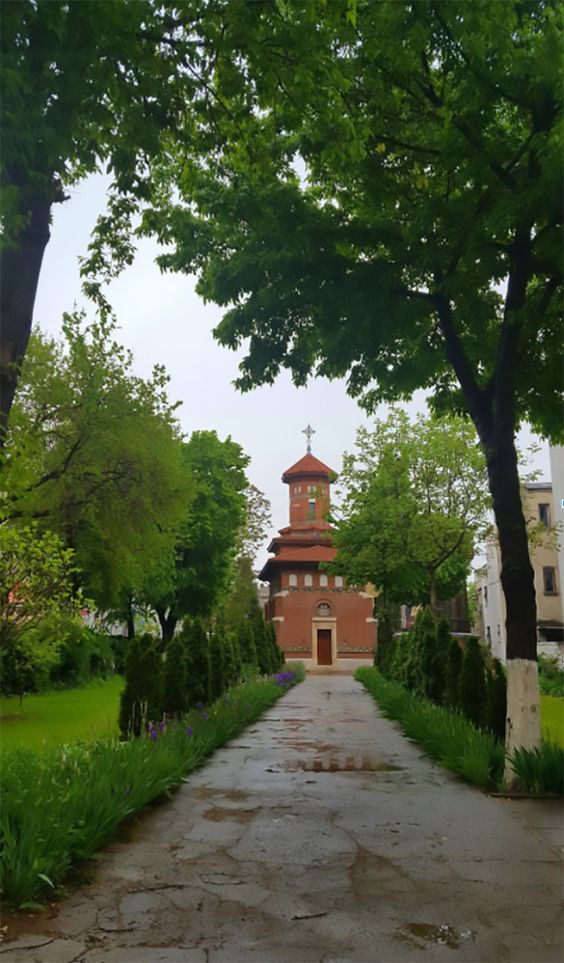 71c8e2e9766561d330e7d593db1b3dfc Primul an în București