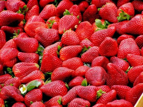 strawberries red fruit royalty free 70746 Top10 fructe recomandate în diete