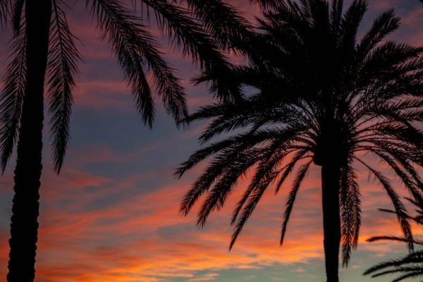 pexels photo 1653324 La Palma - miniserial Netflix
